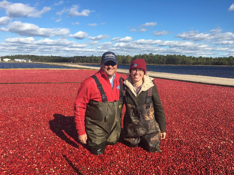 A Brief Introduction to Cranberry Bogs