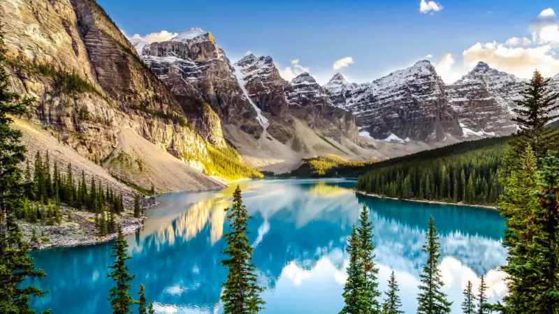 An Unforgettable Journey Through the Heart of Calgary!