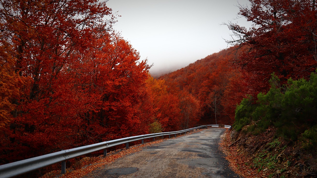 4 Rules of Good RV Campsite Etiquette