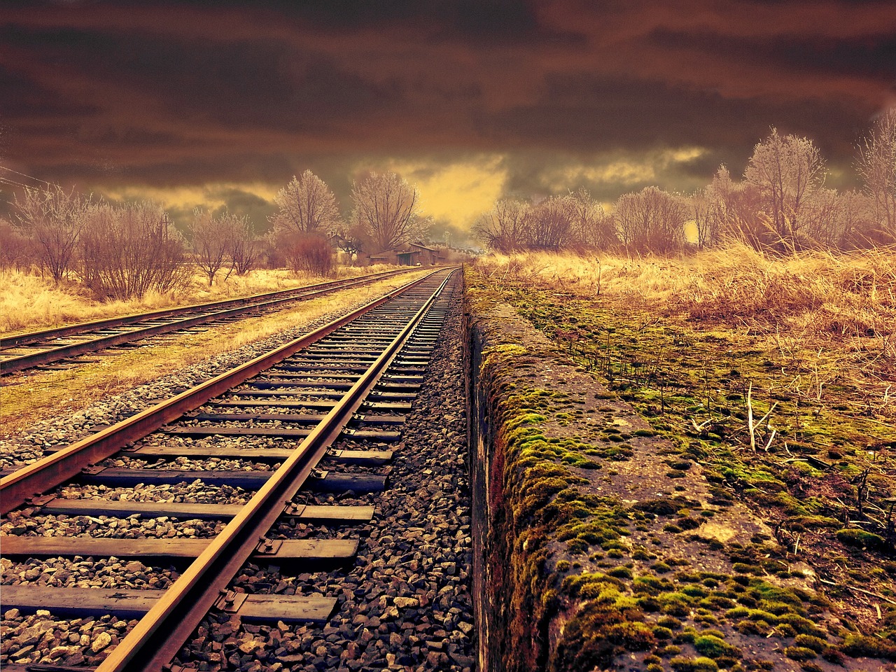 6 Points To Consider Before Selecting A Car Transport Company