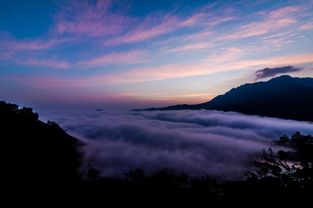 Watch the Rare Japanese Animals with Adventurous japan hokaido tours