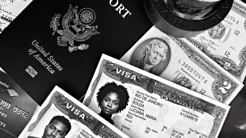 Employment visa applications: What is the best process?