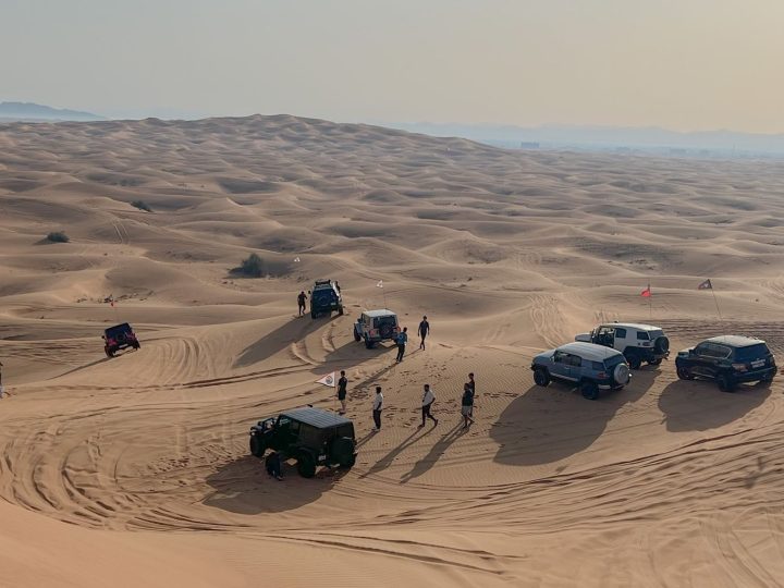 Sharjah Safari reopening: The Best New Features for 2023