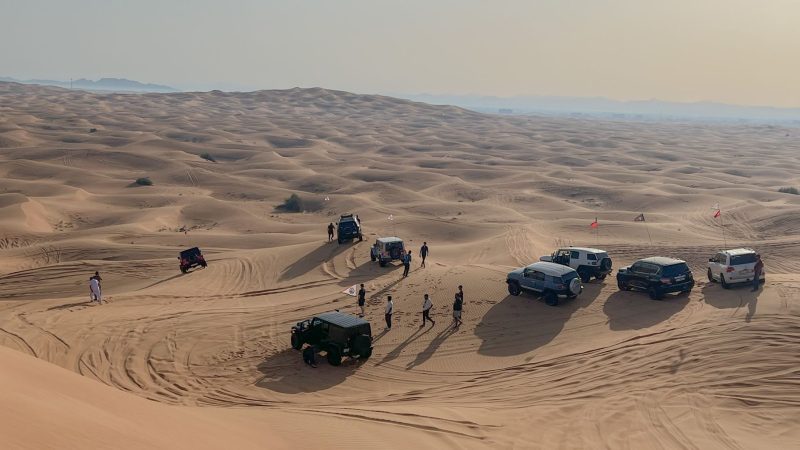 Sharjah Safari reopening: The Best New Features for 2023