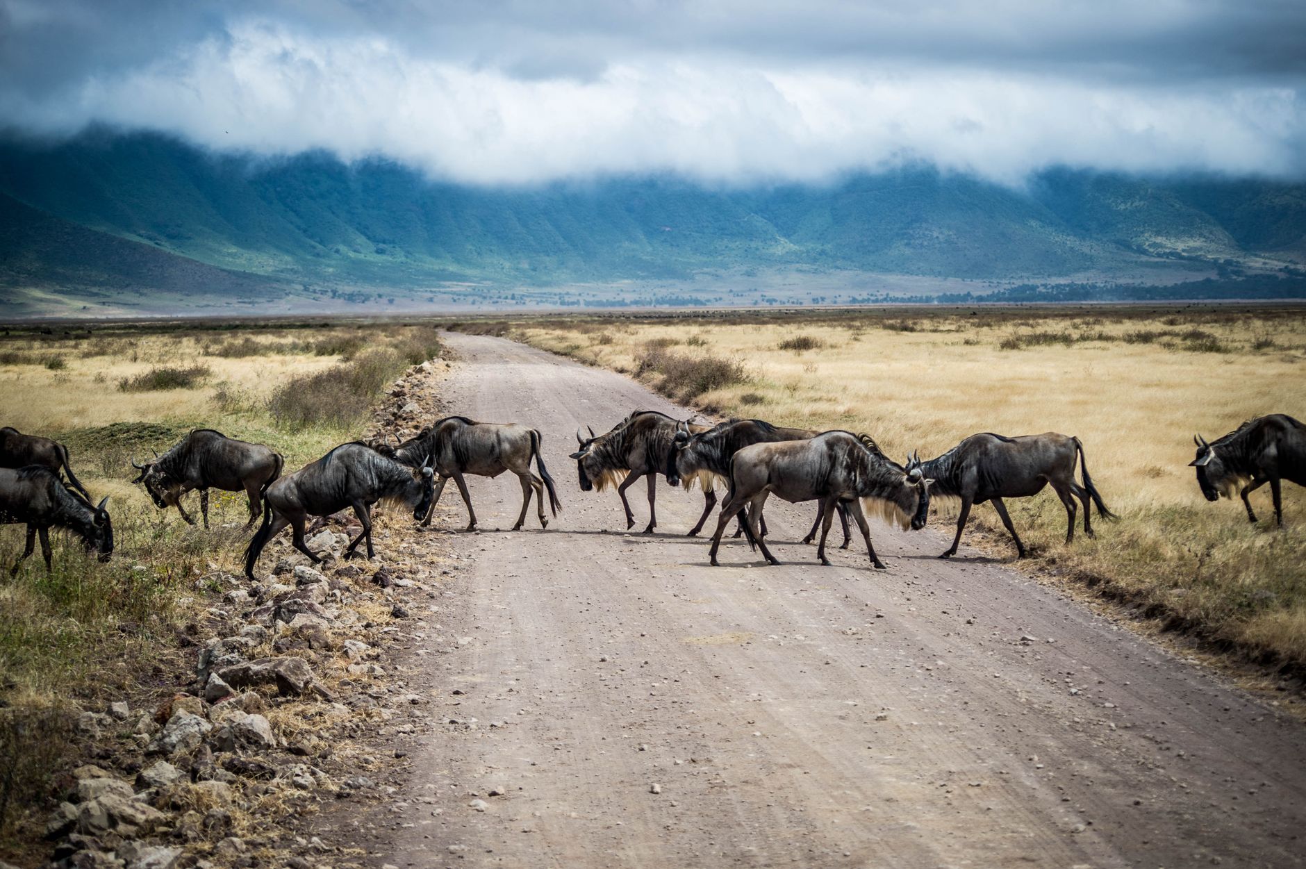 Tanzania Travel Routes: Best New British Airways Flights for 2027