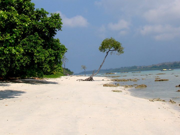 Andaman islands travel: The Best New Season Awaits You