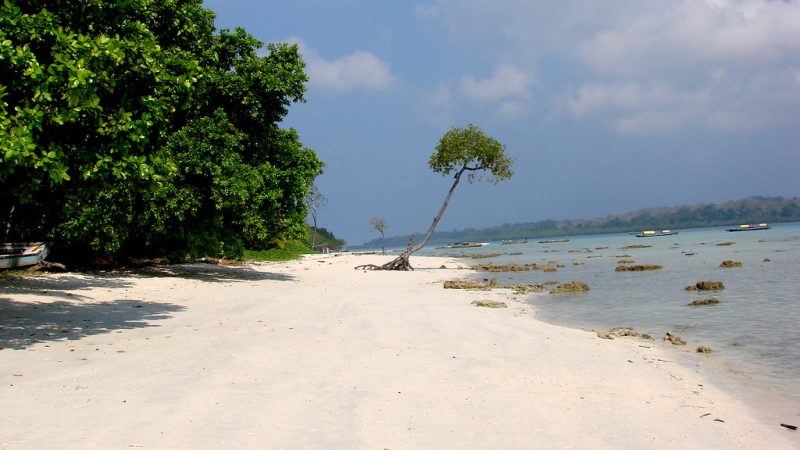 Andaman islands travel: The Best New Season Awaits You