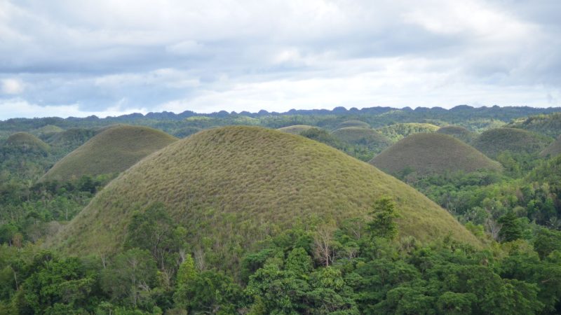 Bohol tourism rebound: Best proven strategies for growth