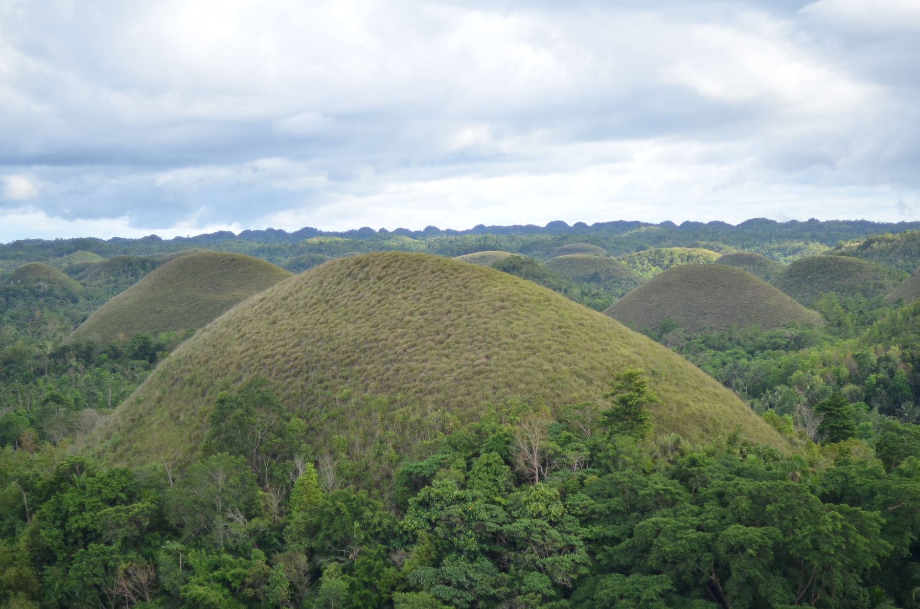 Bohol tourism rebound: Best proven strategies for growth