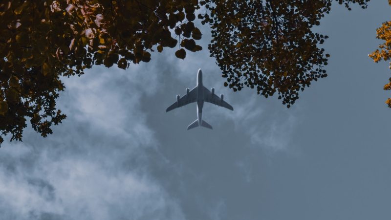 Direct flights to Goa: Easy travel options from Bengaluru