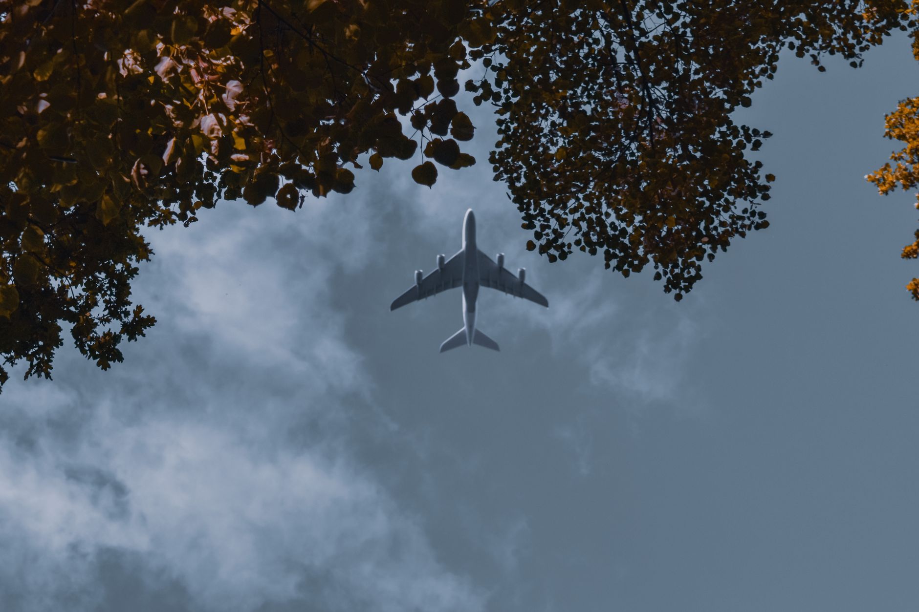 Direct flights to Goa: Easy travel options from Bengaluru