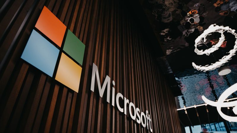 Microsoft visa programme: Worst fraud claims lead to suspension