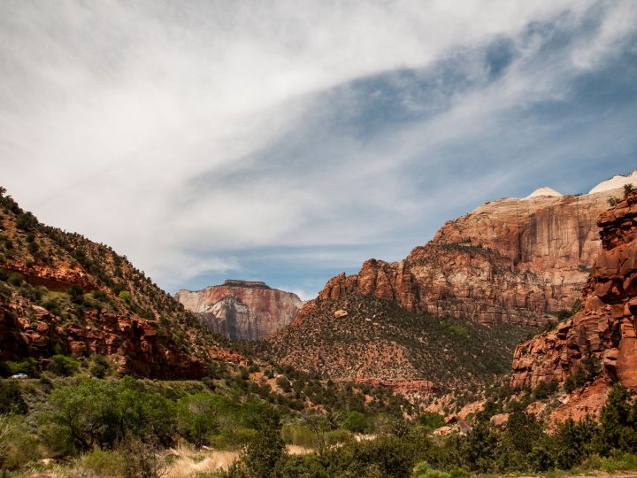Zion National Park reopening: Is it Safe and Quick?