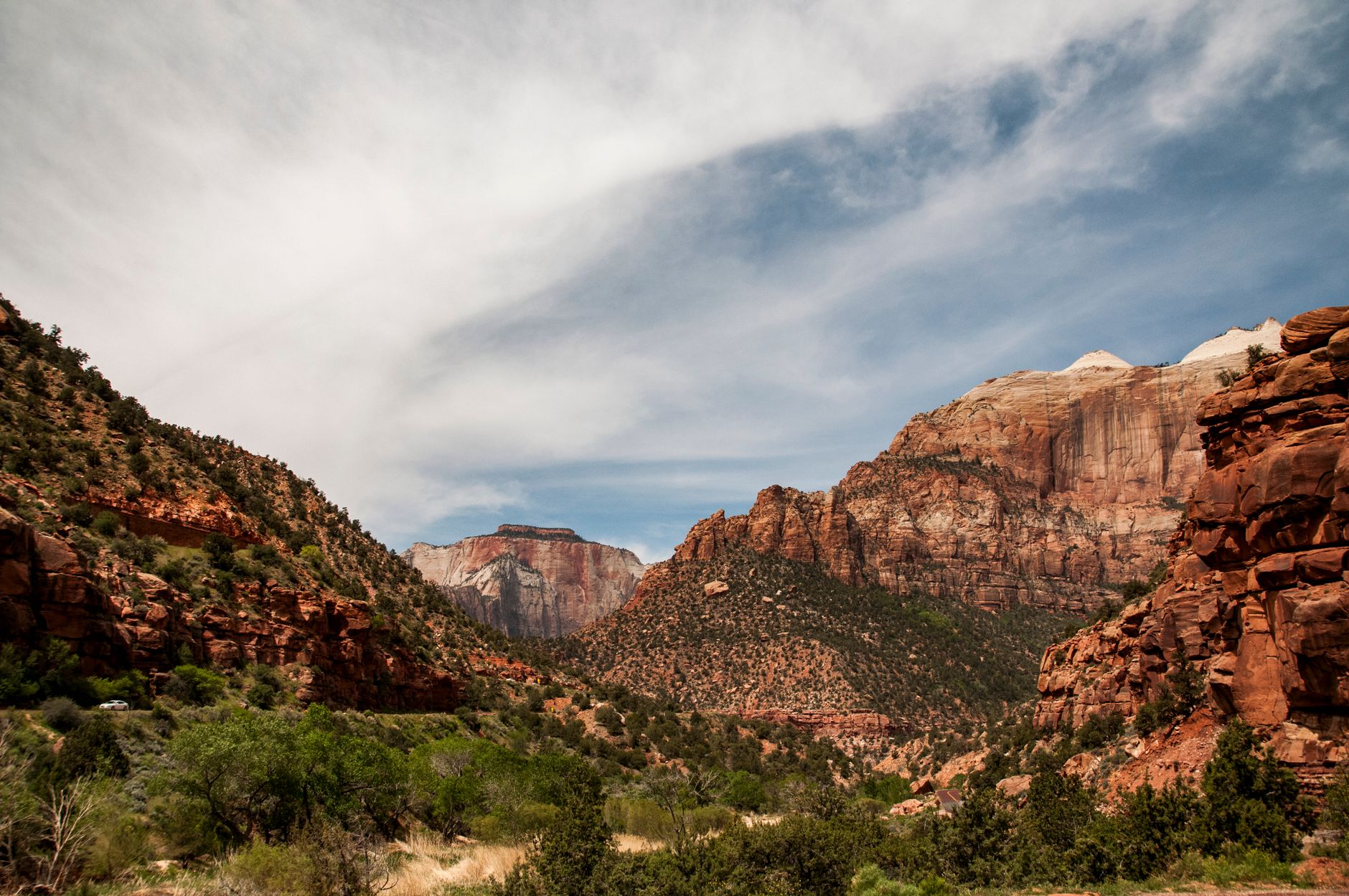 Zion National Park reopening: Is it Safe and Quick?